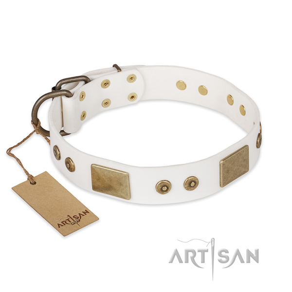 Awesome design adornments on genuine leather dog collar