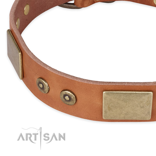 Everyday walking leather collar with rust-proof buckle and D-ring