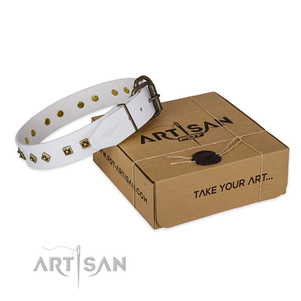 Awesome full grain genuine leather dog collar for everyday use