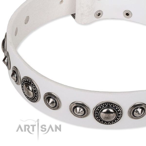 Easy to adjust leather dog collar with resistant non-rusting buckle