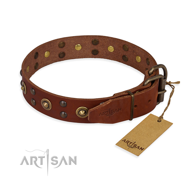 Walking full grain natural leather collar with adornments for your dog