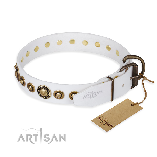 Practical leather collar for your elegant four-legged friend