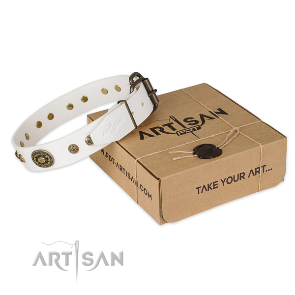 Finest quality full grain genuine leather dog collar for stylish walks
