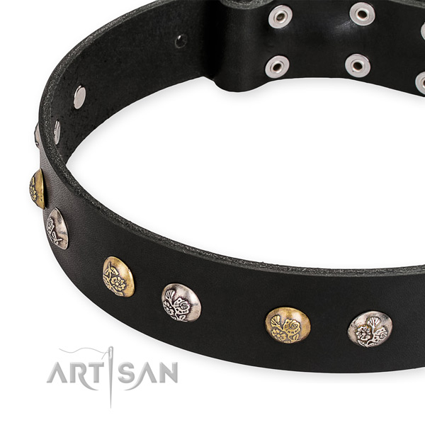 Easy to adjust leather dog collar with extra sturdy brass plated buckle and D-ring