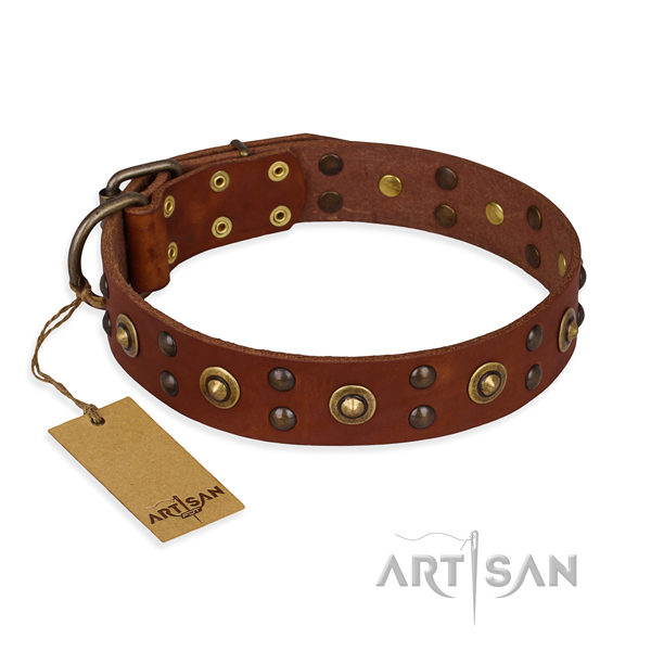 Exquisite design studs on genuine leather dog collar