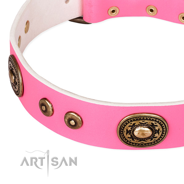 Easy to use leather dog collar with extra sturdy durable fittings
