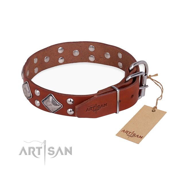 Fashionable leather collar for your handsome pet