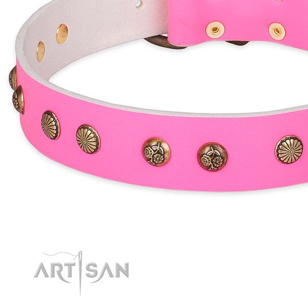 Easy to use leather dog collar with almost unbreakable durable buckle and D-ring