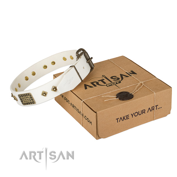 High quality genuine leather dog collar for daily use