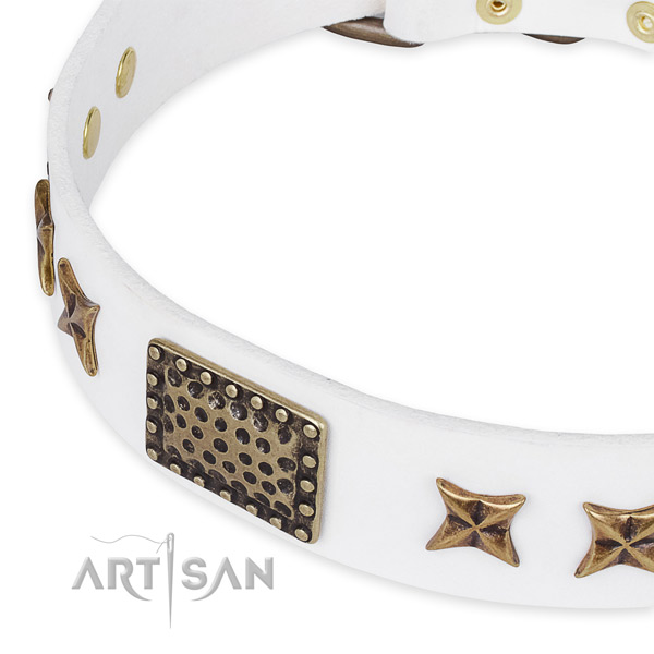 Snugly fitted leather dog collar with resistant non-rusting buckle