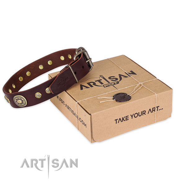 Incredible genuine leather dog collar for walking