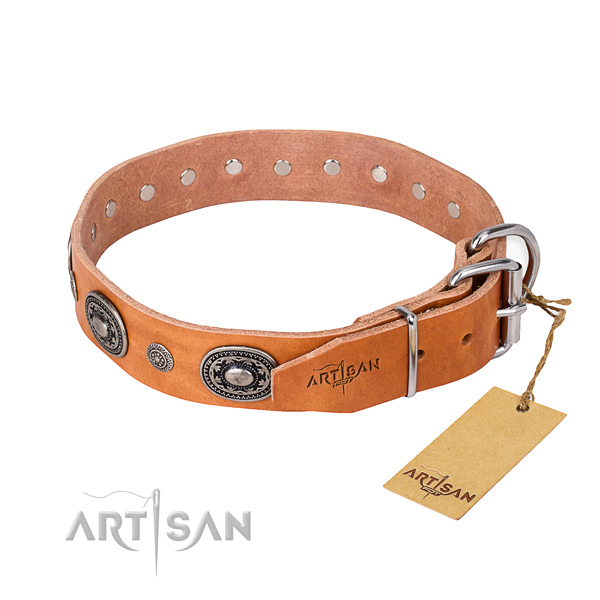 Stylish leather collar for your gorgeous dog