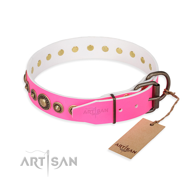 Versatile leather collar for your stunning four-legged friend