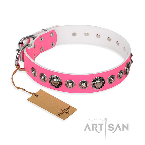 Indestructible leather dog collar with riveted hardware