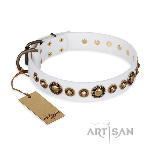 Top notch design decorations on full grain genuine leather dog collar
