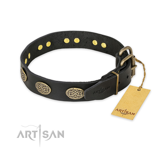 Impressive design embellishments on full grain leather dog collar