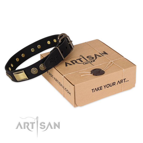 Perfect fit leather dog collar for walking in style