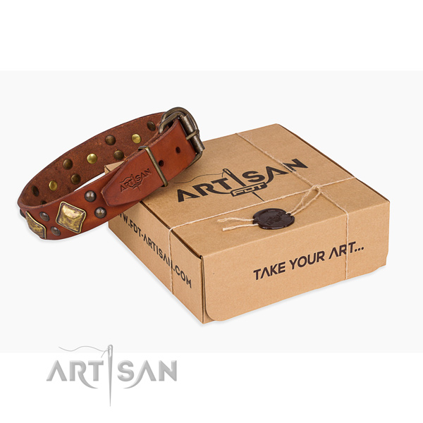 Fashionable genuine leather dog collar for everyday walking