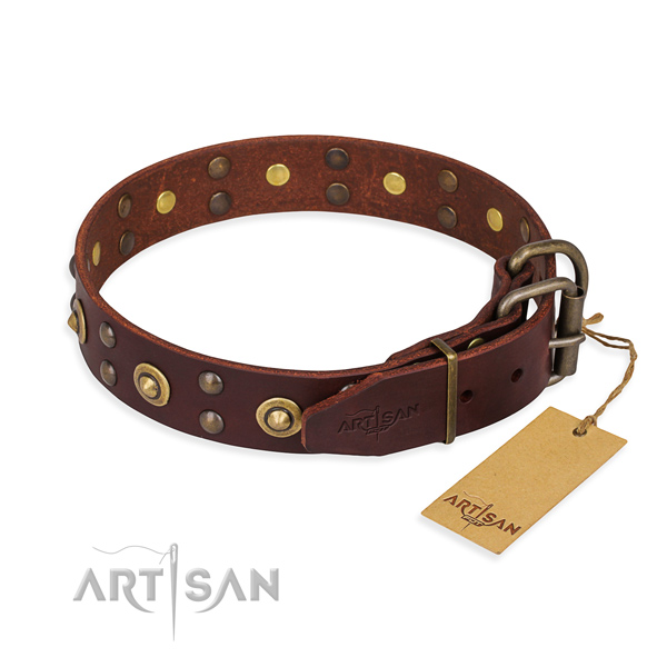 Everyday use leather collar with decorations for your doggie