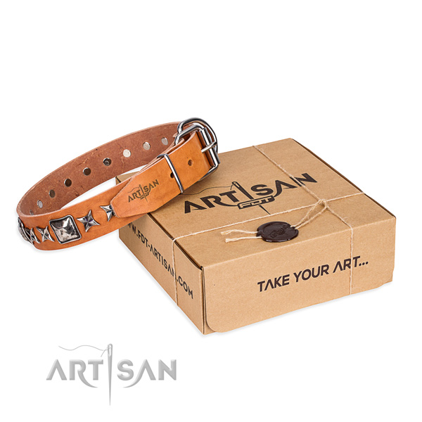 Designer full grain genuine leather dog collar for stylish walking