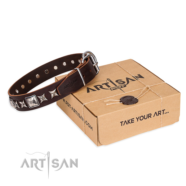 Impressive leather dog collar for daily walking