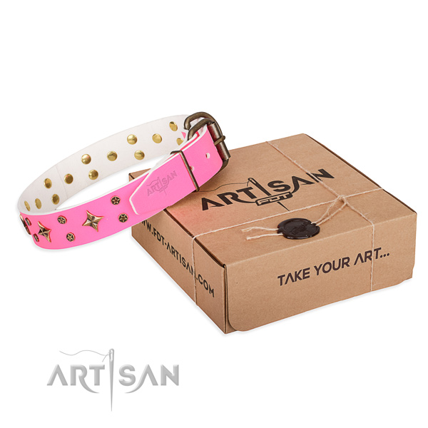 Fine quality full grain natural leather dog collar for daily walking