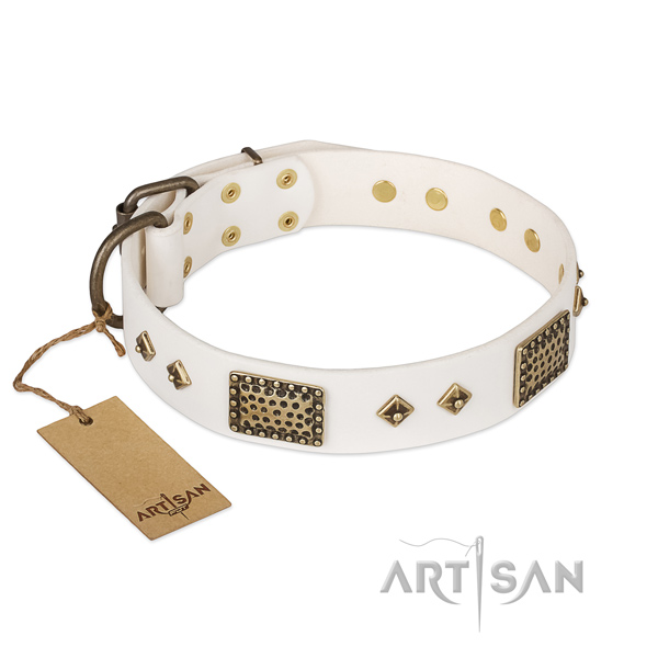 Unusual design adornments on full grain natural leather dog collar
