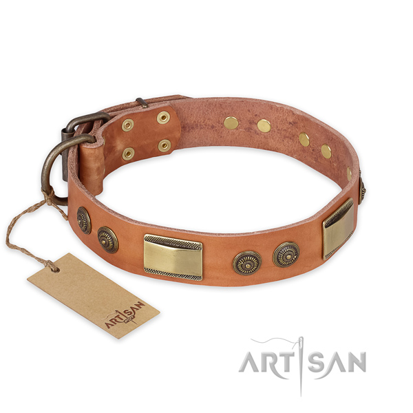 Trendy design adornments on natural genuine leather dog collar