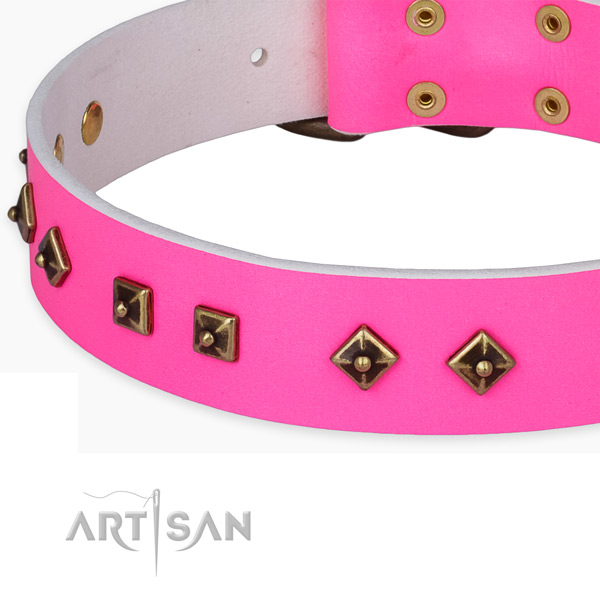 Everyday use full grain natural leather collar with reliable buckle and D-ring