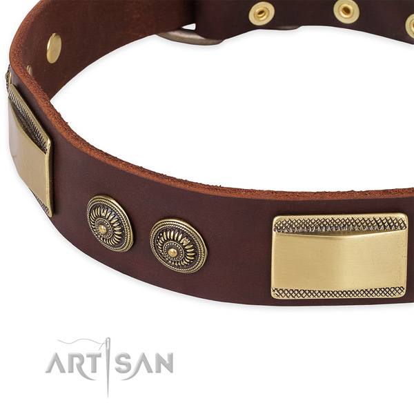 Everyday walking genuine leather collar with strong buckle and D-ring