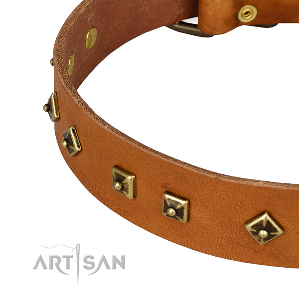 Walking full grain leather collar with rust resistant buckle and D-ring