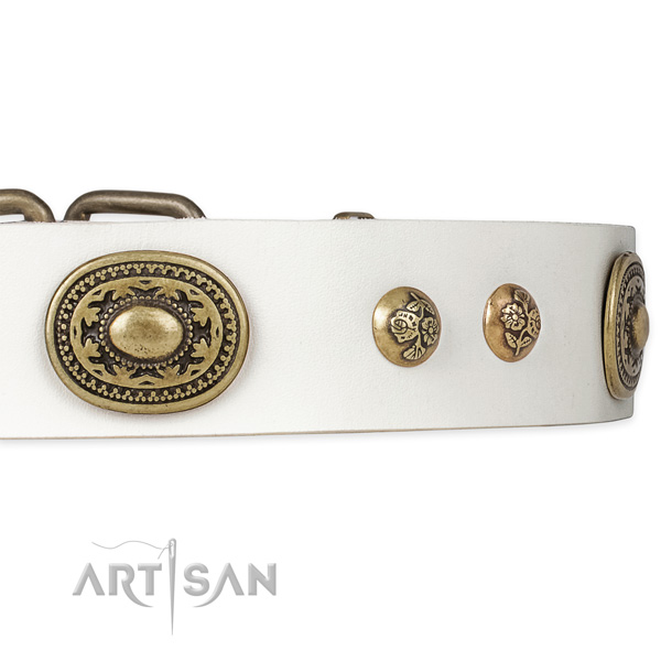 Stylish walking leather collar with rust-proof buckle and D-ring