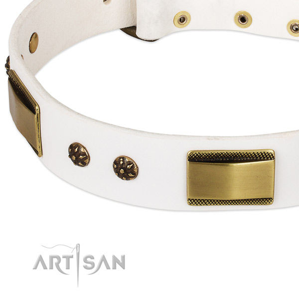 Walking full grain natural leather collar with strong buckle and D-ring