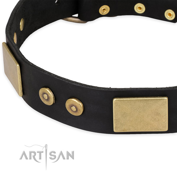 Daily use full grain natural leather collar with strong buckle and D-ring