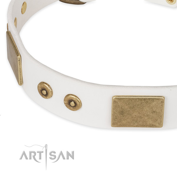 Everyday use leather collar with reliable buckle and D-ring