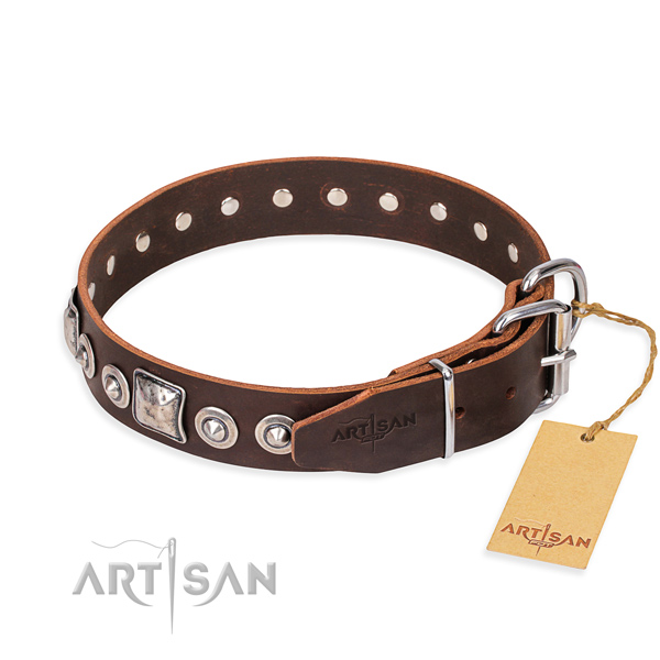 Stylish leather collar for your handsome pet