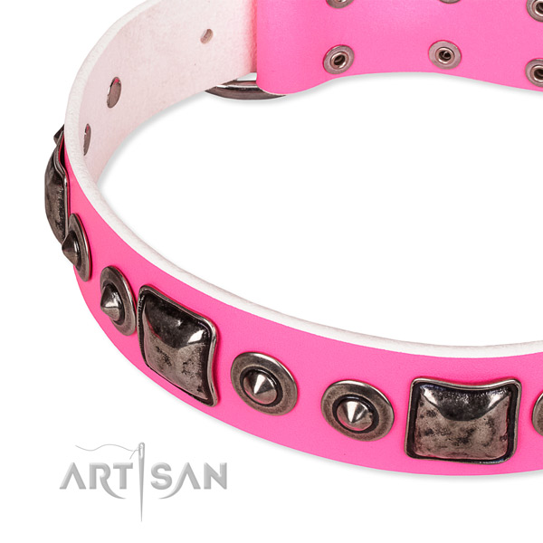 Snugly fitted leather dog collar with resistant to tear and wear rust-proof fittings