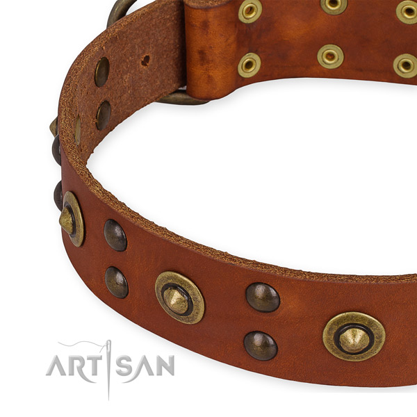 Easy to use leather dog collar with resistant to tear and wear durable set of hardware