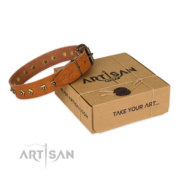 Perfect fit genuine leather dog collar for stylish walks