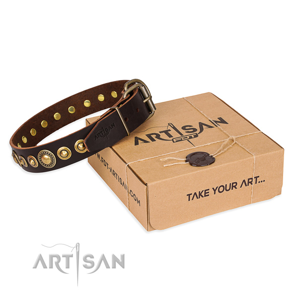 High quality leather dog collar for everyday walking