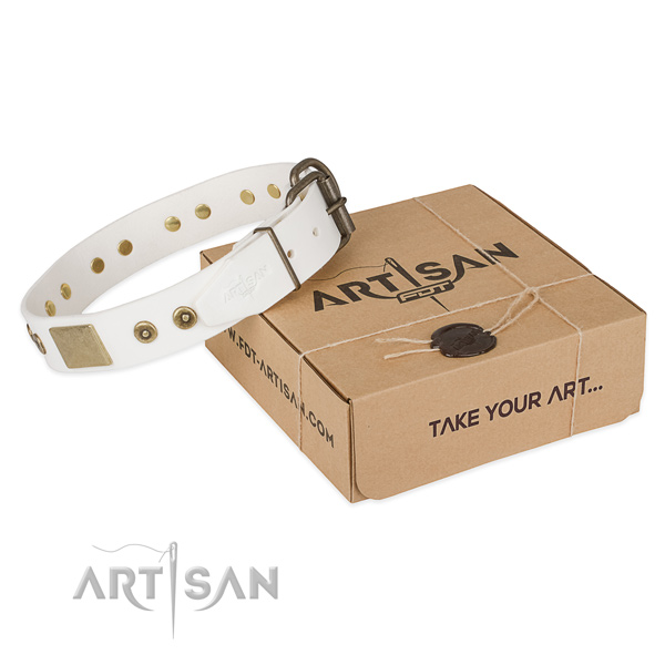 Awesome natural genuine leather dog collar for everyday walking