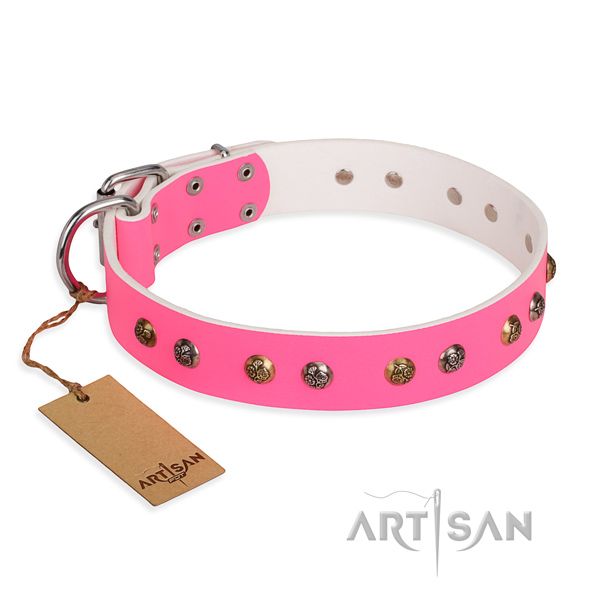 Tear-proof leather collar for your noble four-legged friend