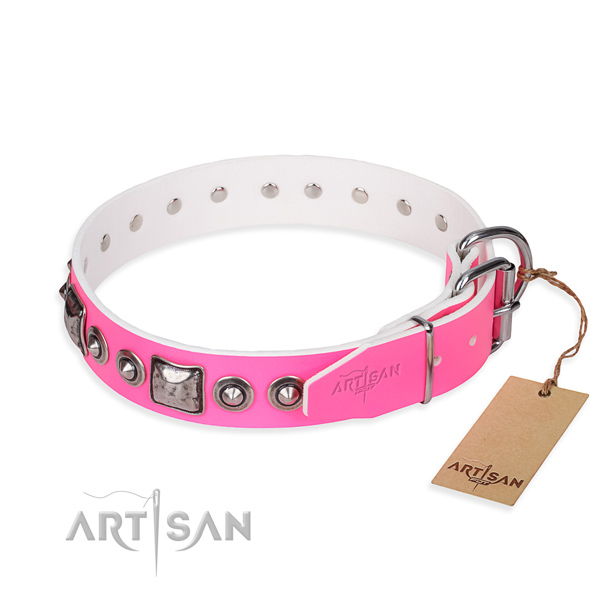 Durable leather collar for your gorgeous dog