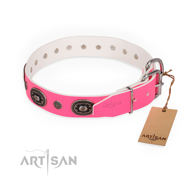 Fashionable leather collar for your elegant pet