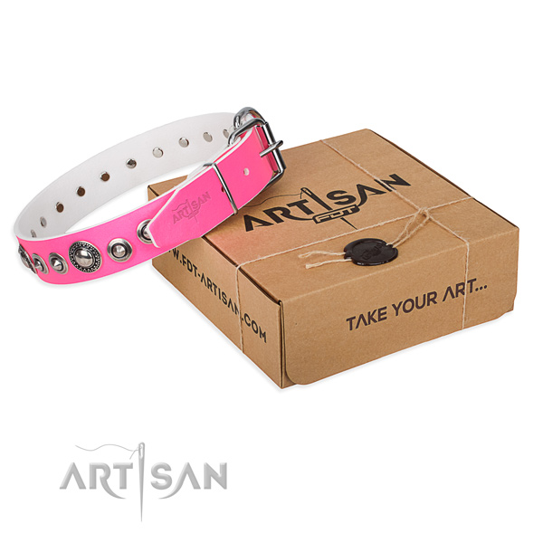 Impressive full grain leather dog collar for stylish walks