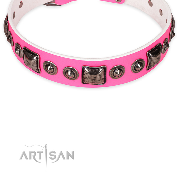Resistant leather dog collar with strong elements