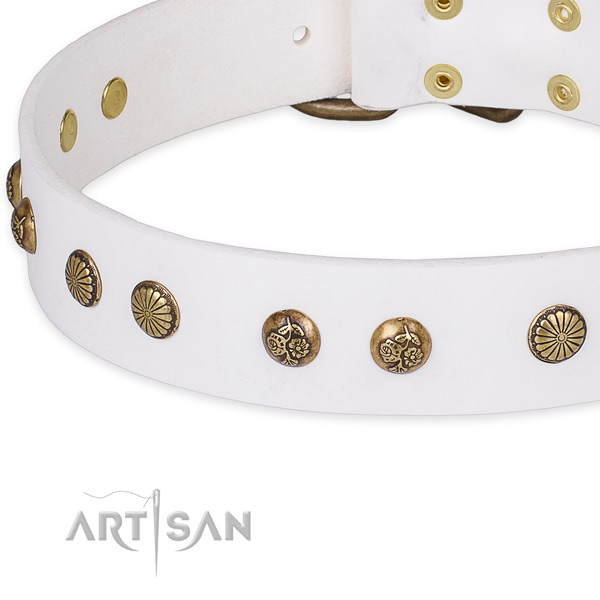 Easy to use leather dog collar with extra strong non-rusting buckle and D-ring