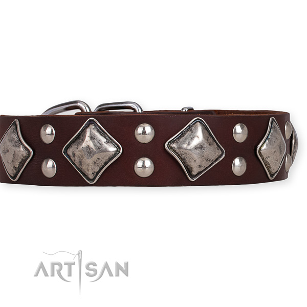 Easy to adjust leather dog collar with extra strong non-rusting fittings