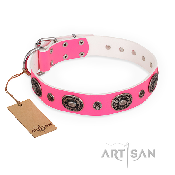 Fashionable design embellishments on genuine leather dog collar