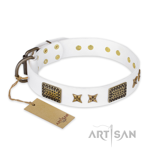 Trendy design stars and plates on natural genuine leather dog collar